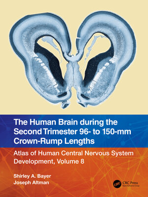 cover image of The Human Brain during the Second Trimester 96– to 150–mm Crown-Rump Lengths